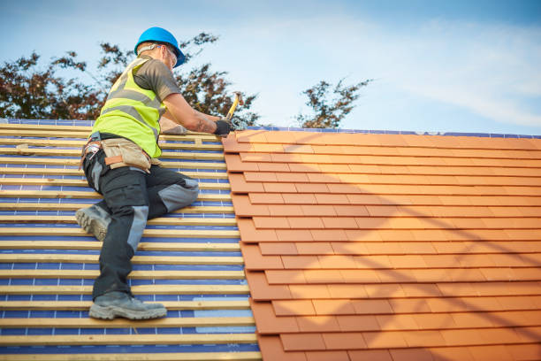 Best Solar Panel Roofing Installation  in Sierra Vista, AZ